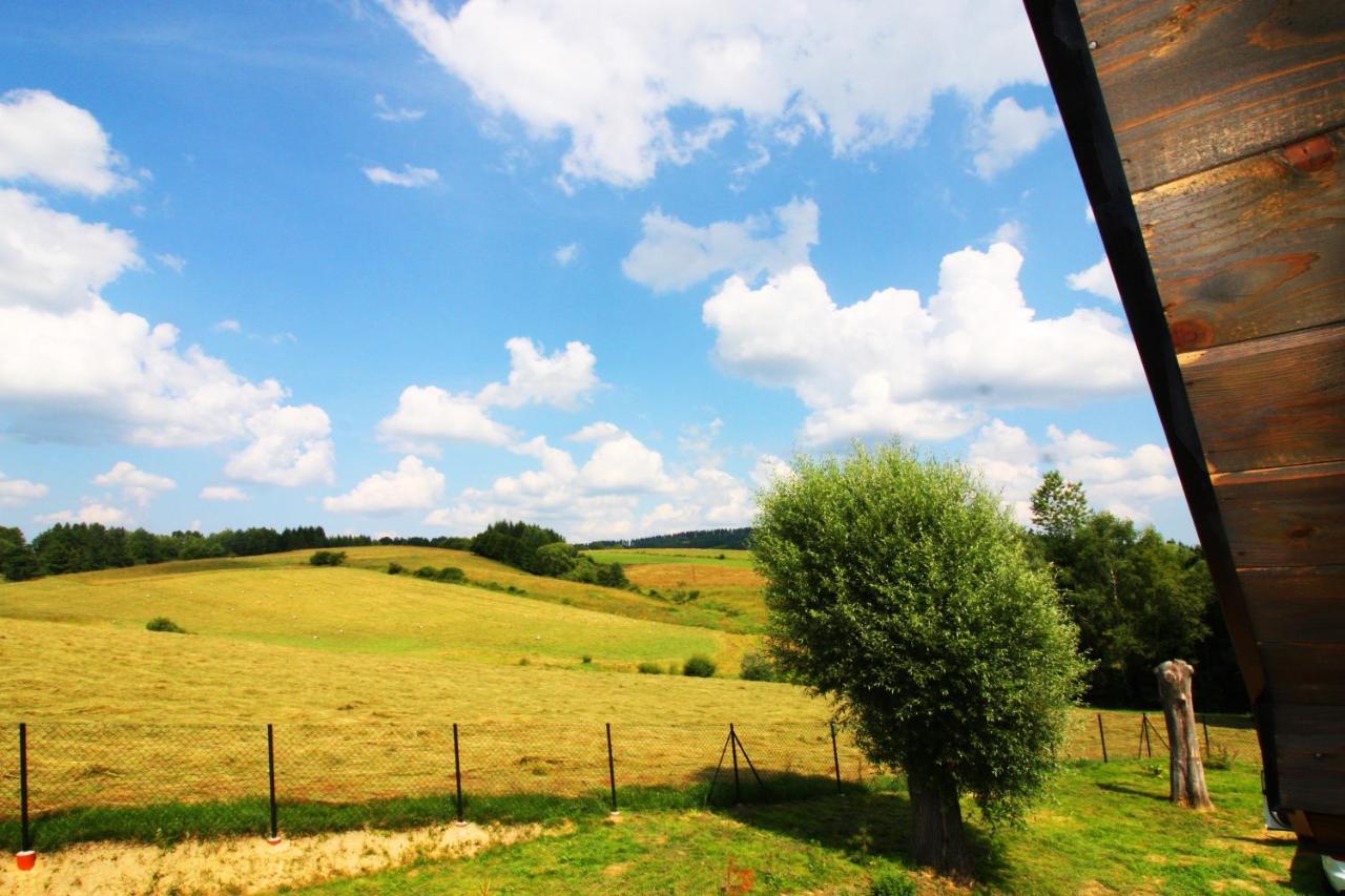 Vila Z Bieszcza Rodem Ustrzyki Dolne Exteriér fotografie